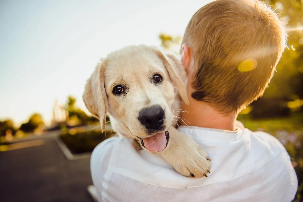 Owner hugging a golden retriever outdoors