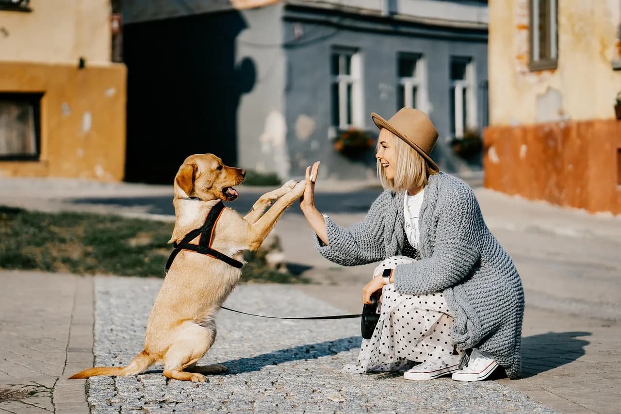 Woman walking happily with her dog after a no-quarantine pet import to Singapore