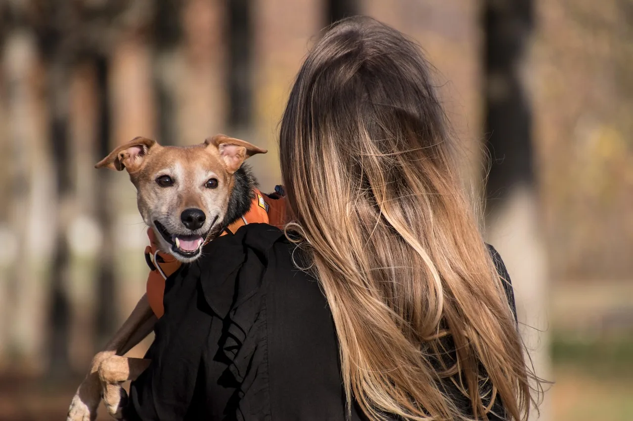 Owner walking with dog outdoors after a no-quarantine Singapore pet import