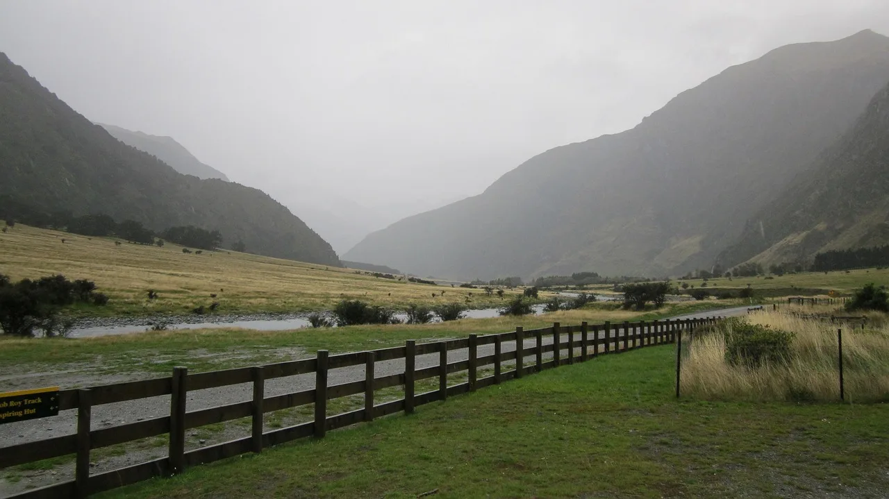 New Zealand mountain and lake landscape, representing the New Zealand to Singapore pet import route